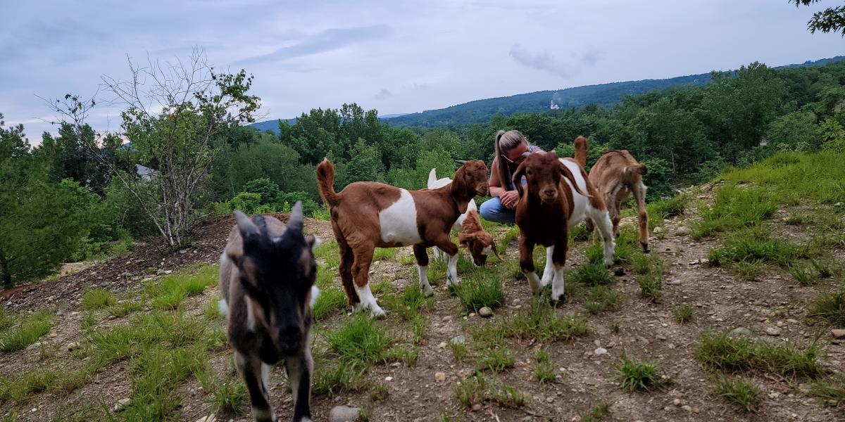 Hike With Goats 