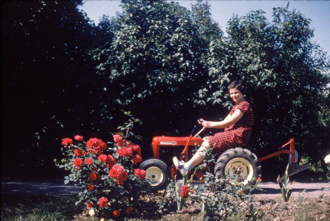 Norma on the Wheelhorse.