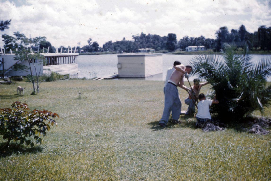 Moving the palm tree on Lake Jasmin in the early 60's?