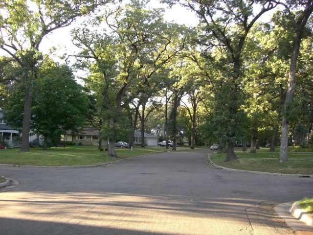 Oak Grove