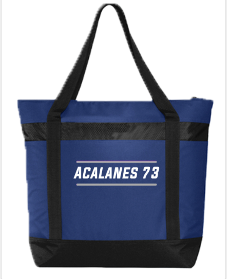 LARGE TOTE COOLER - $31.95