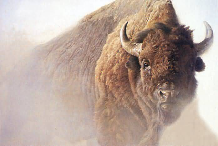 Fellow Bison who have gone before us