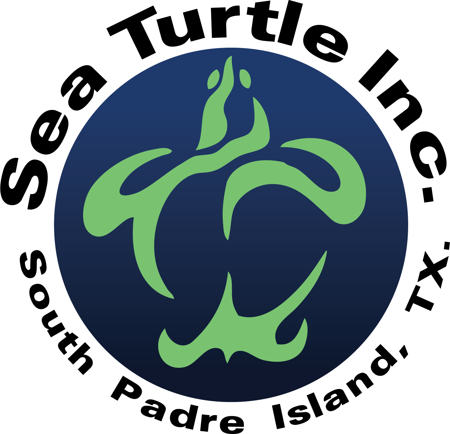 Helping Sea Turtles Thrive